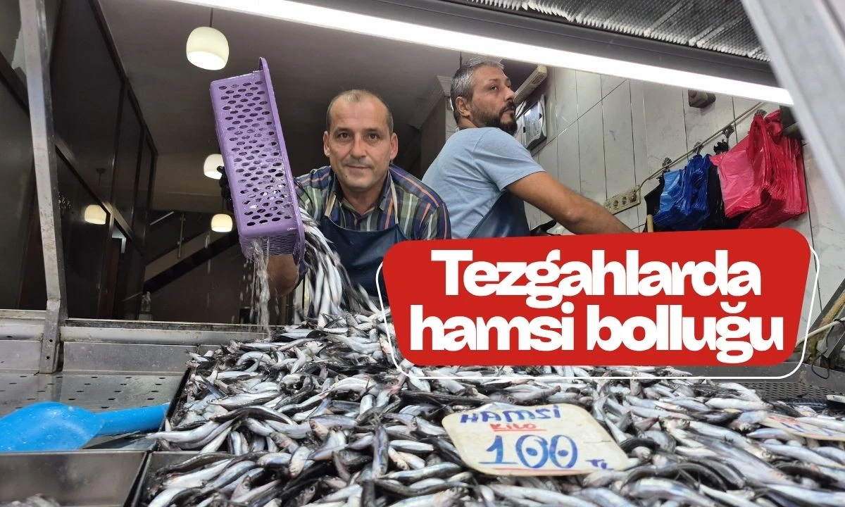 Tezgahlarda hamsi bolluğu