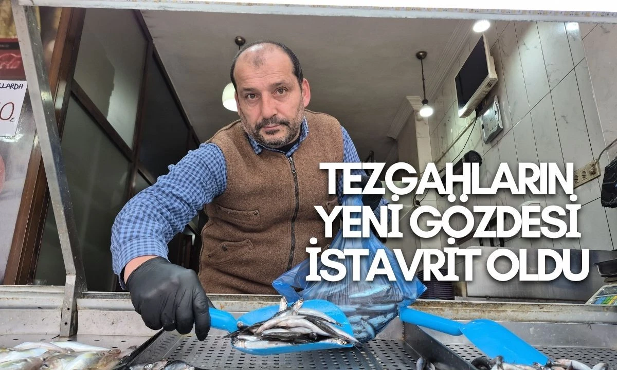 Tezgahların yeni g&ouml;zdesi istavrit oldu