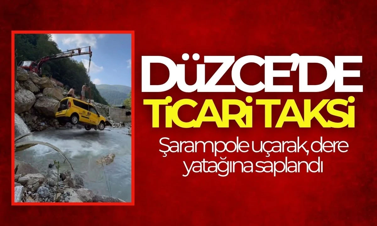 Ticari Taksi şarampole uçarak, dere yatağına saplandı: 1 yaralı 
