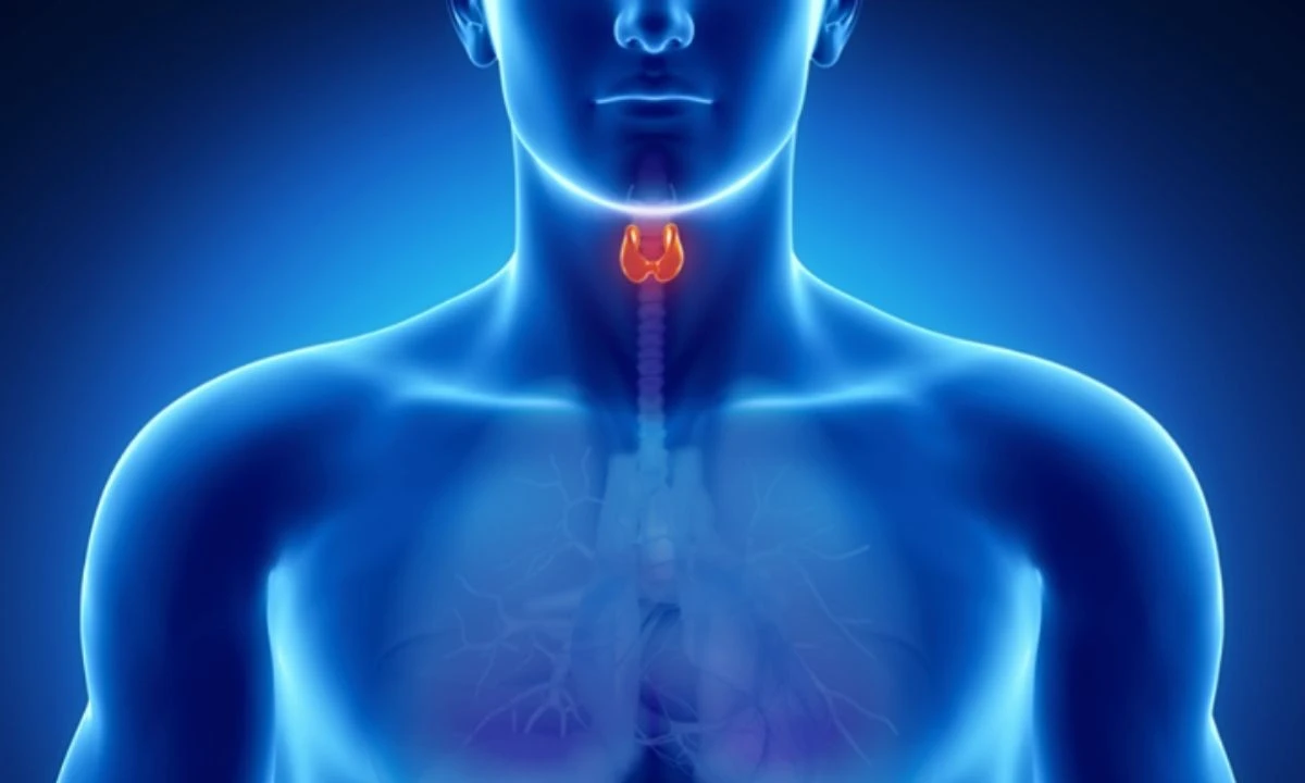 Tiroid nodüllerinde cerrahi müdahale gerekebilir