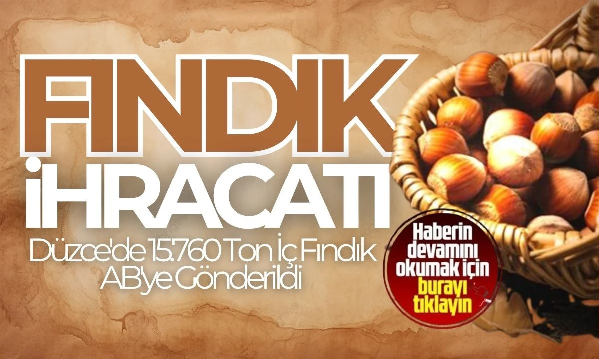 Türkiye Fındık İhracatı Düzce Rakamları