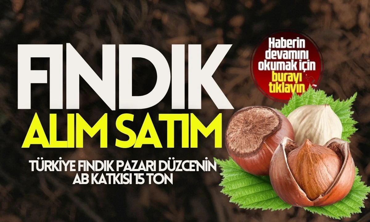 Türkiye Fındık Pazarı: Düzce'nin AB Katkısı 15 Ton