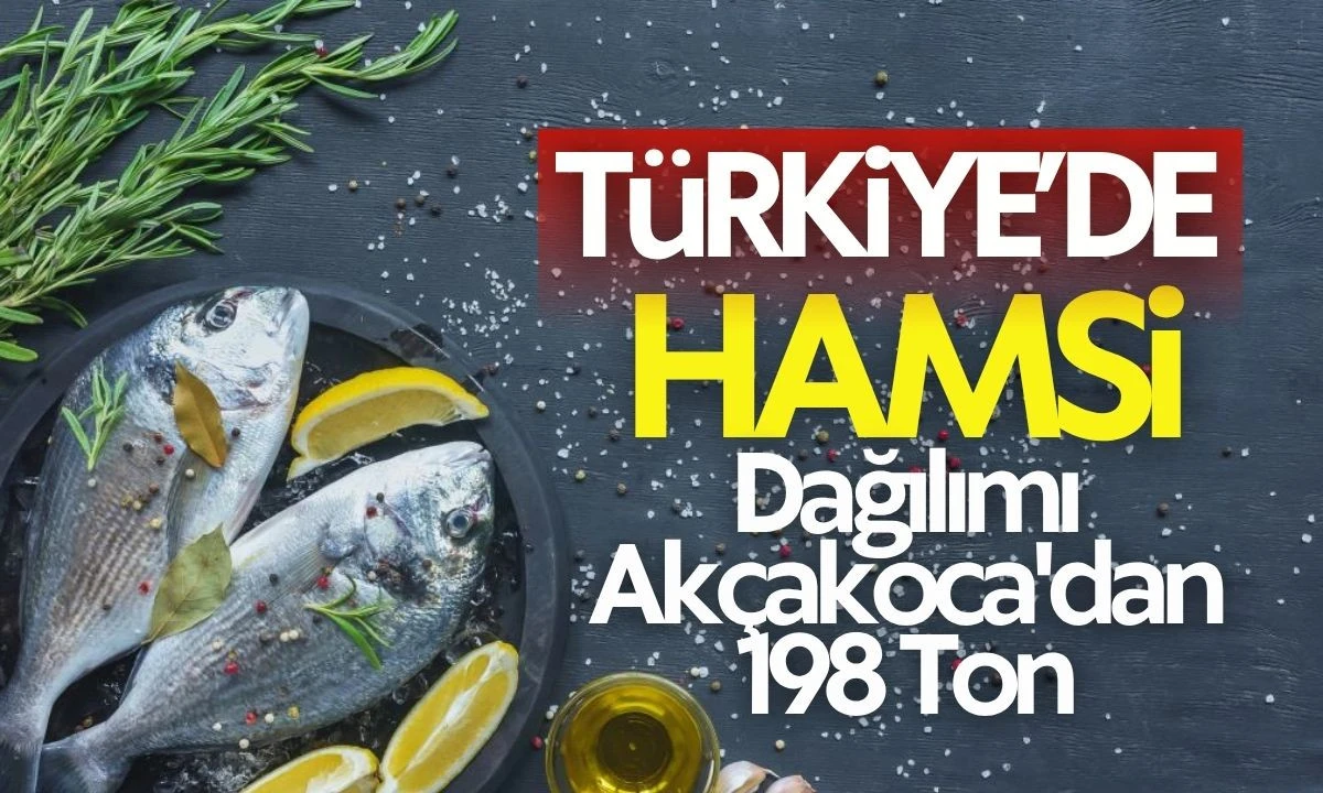 Türkiye'de Hamsi Dağılımı: Akçakoca'dan 198 Ton