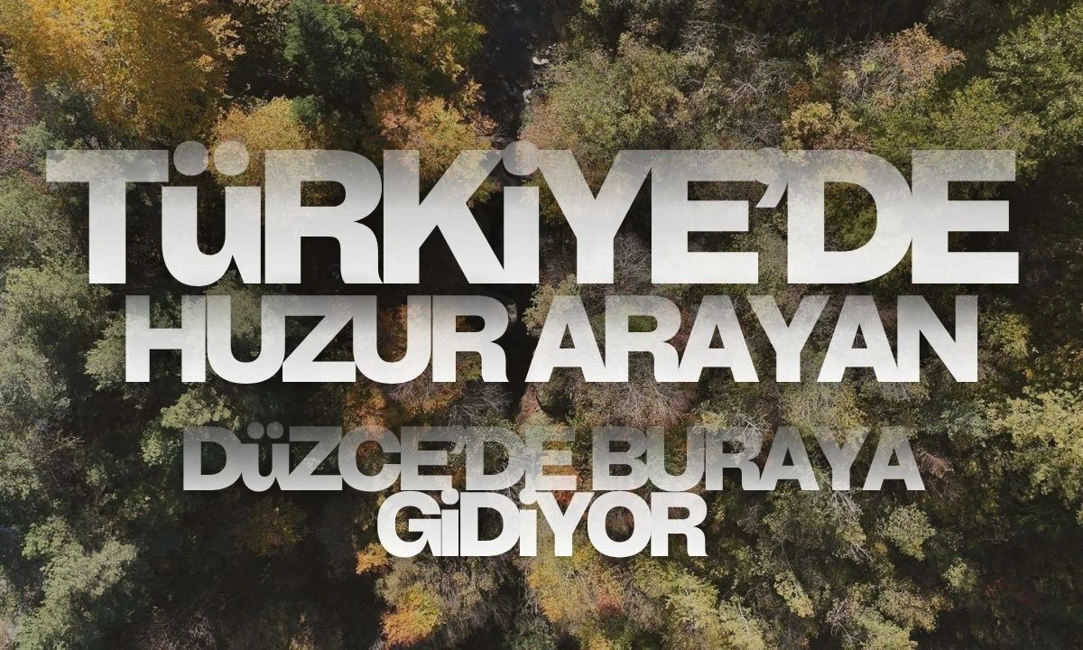 Türkiye'de huzur arayan Düzce'de buraya gidiyor 