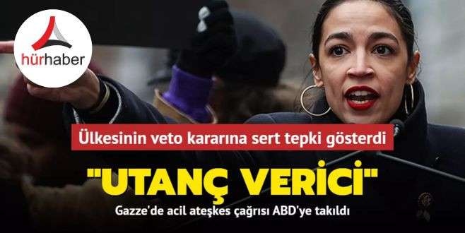 Ülkesinin veto kararına sert tepki gösterdi: Utanç verici