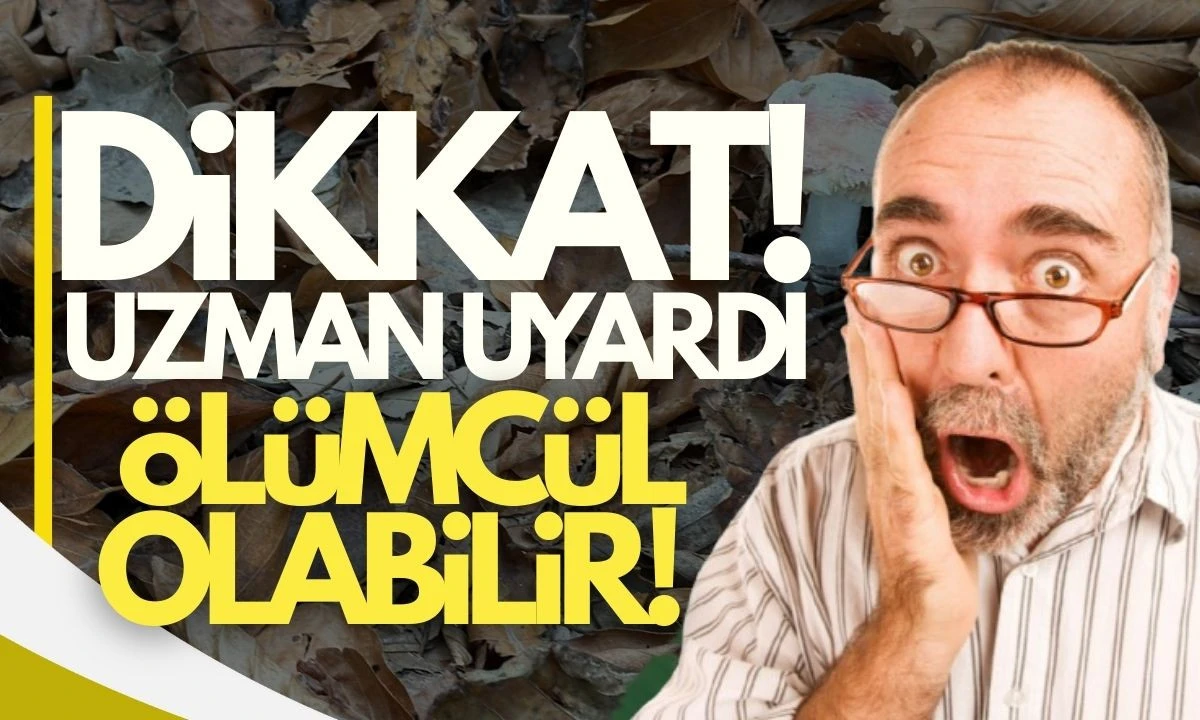 Uzmanından uyarı: 