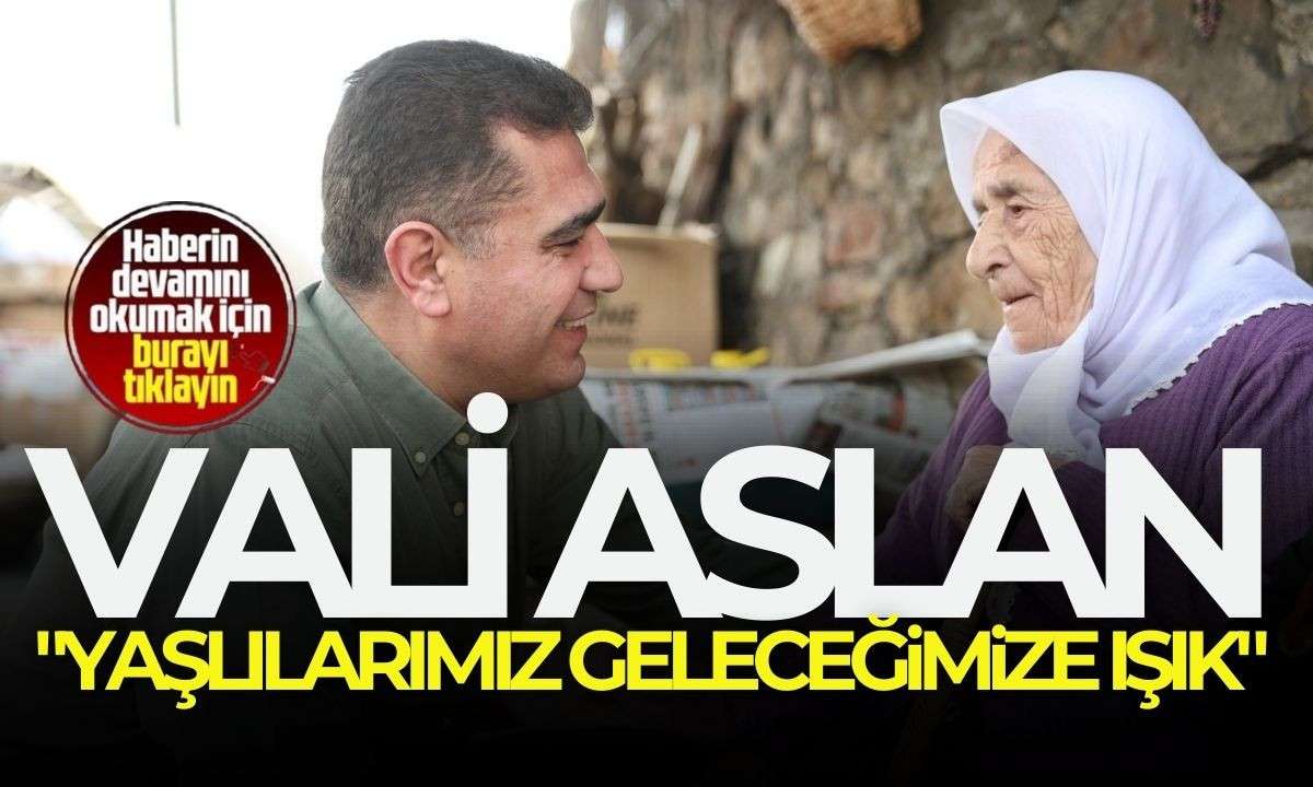 Vali Aslan, 