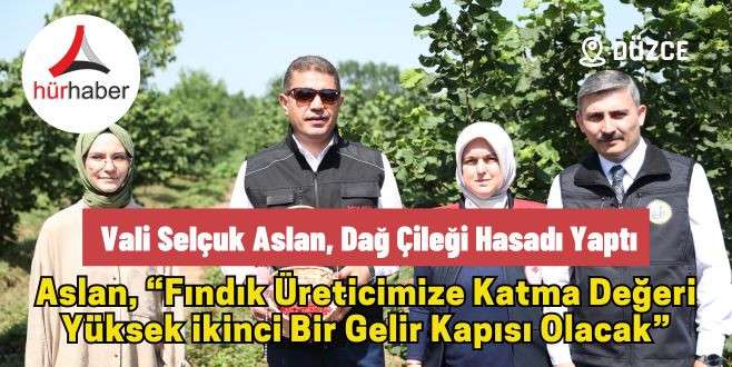 Vali Selçuk Aslan, dağ çileği hasadı yaptı