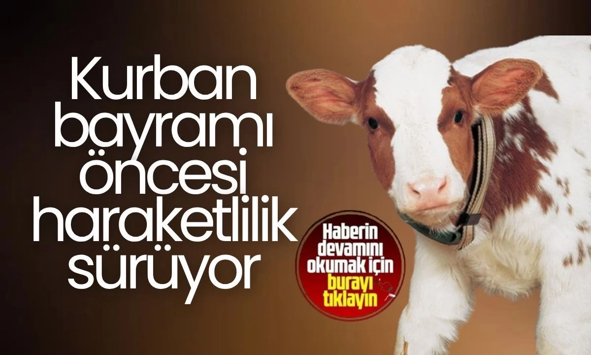 Veteriner Hekim Karanfil, "Yurt dışında kurban kestirmek paramızın dışarıya gitmesi demek"