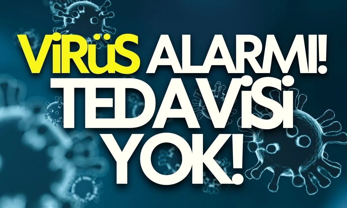 Vir&uuml;s alarmı! Alarma ge&ccedil;tiler, yolculara tarama yapılıyor