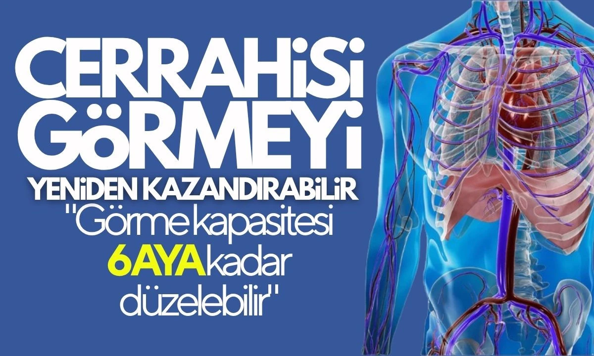 Vitrektomi ile hangi sorunlar tedavi edilir? Vitrektomi Operasyonu
