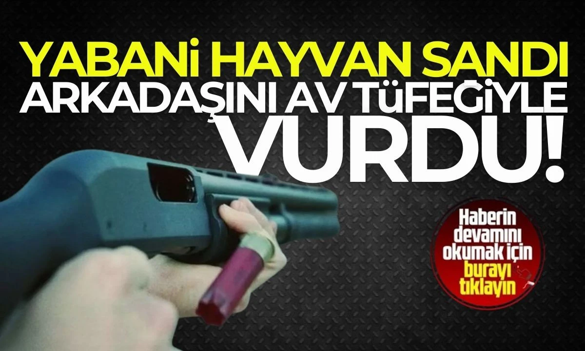 Yabani hayvan sandı arkadaşını av tüfeğiyle vurdu