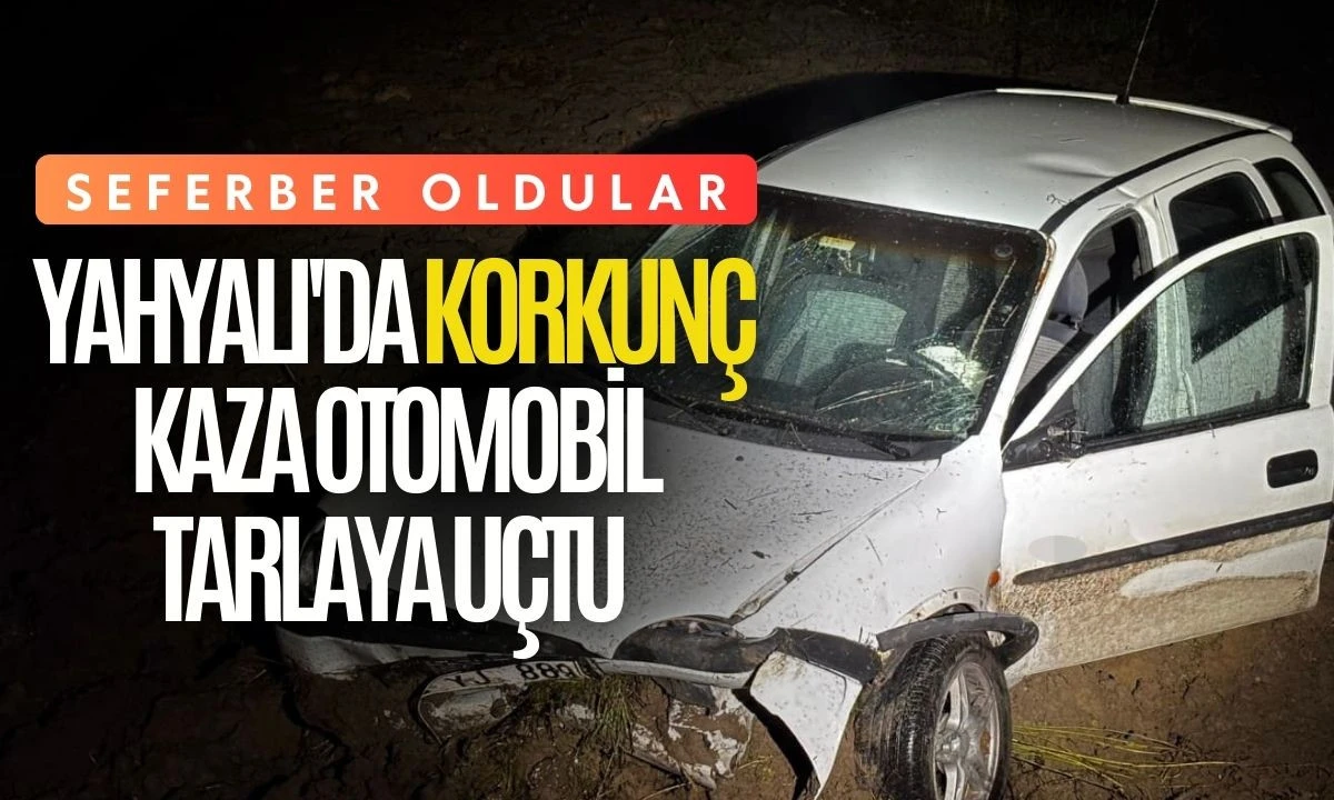 Yahyalı'da Korkunç Kaza: Otomobil Tarlaya Uçtu 