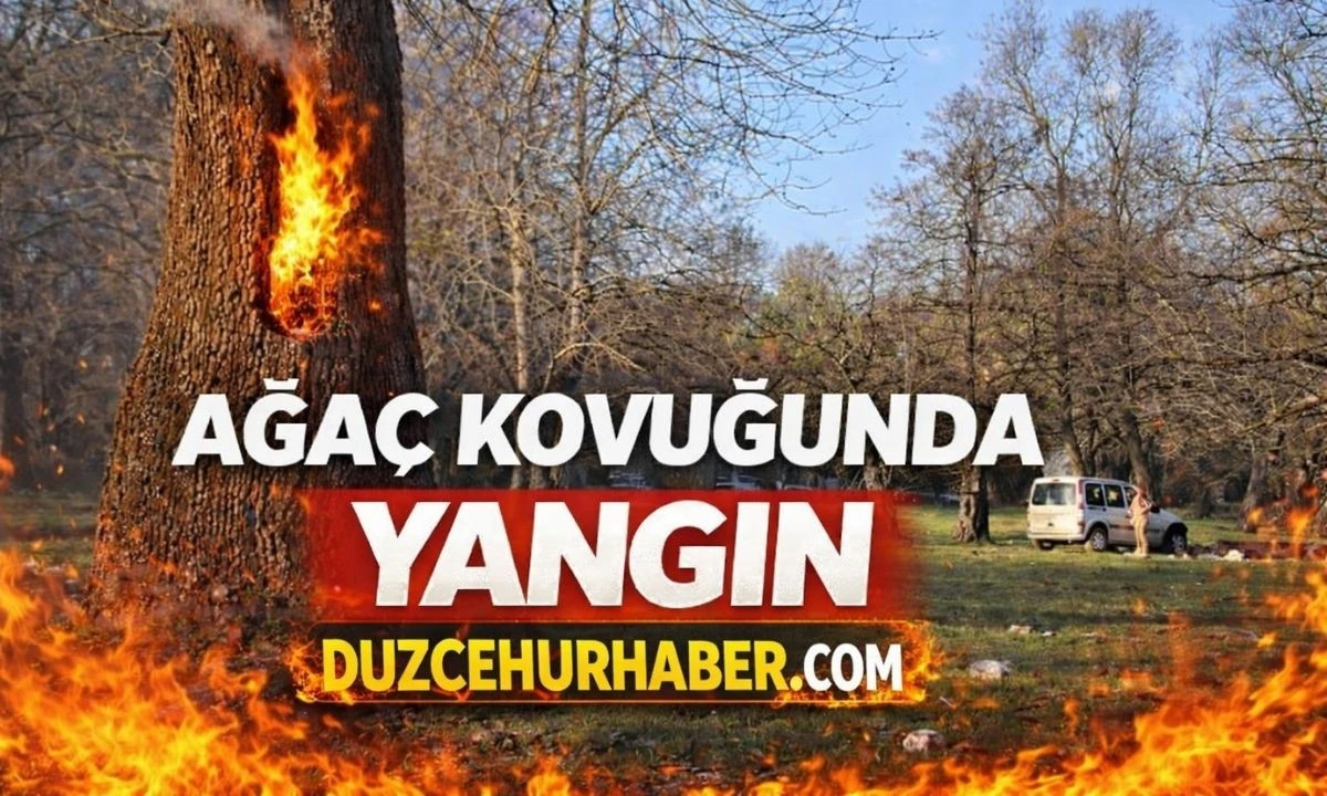 Yangın &ccedil;ıkarıldı