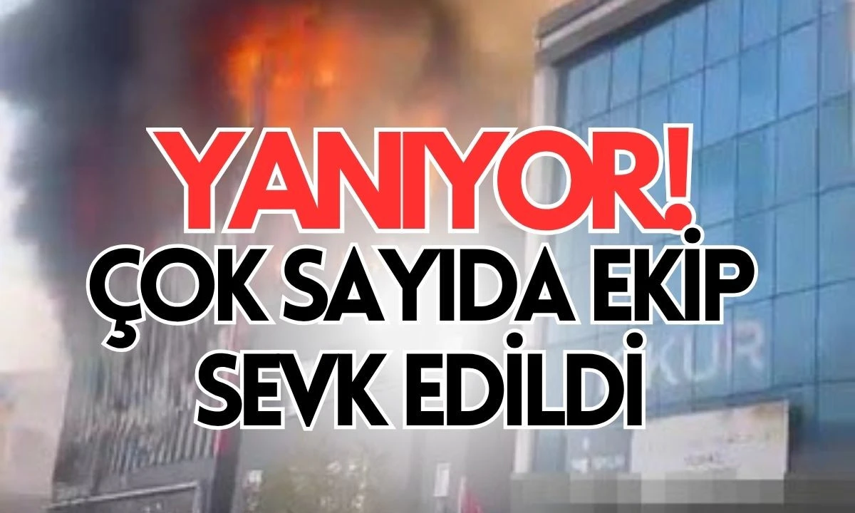Yanıyor çok sayıda ekip sevk edildi