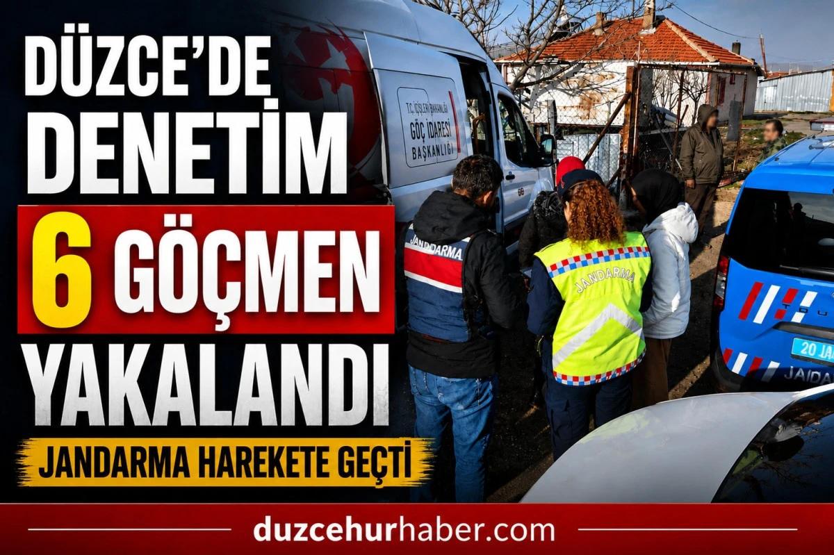 Yasa Dışı Yollarla Girdiler! Jandarma Yakaladı
