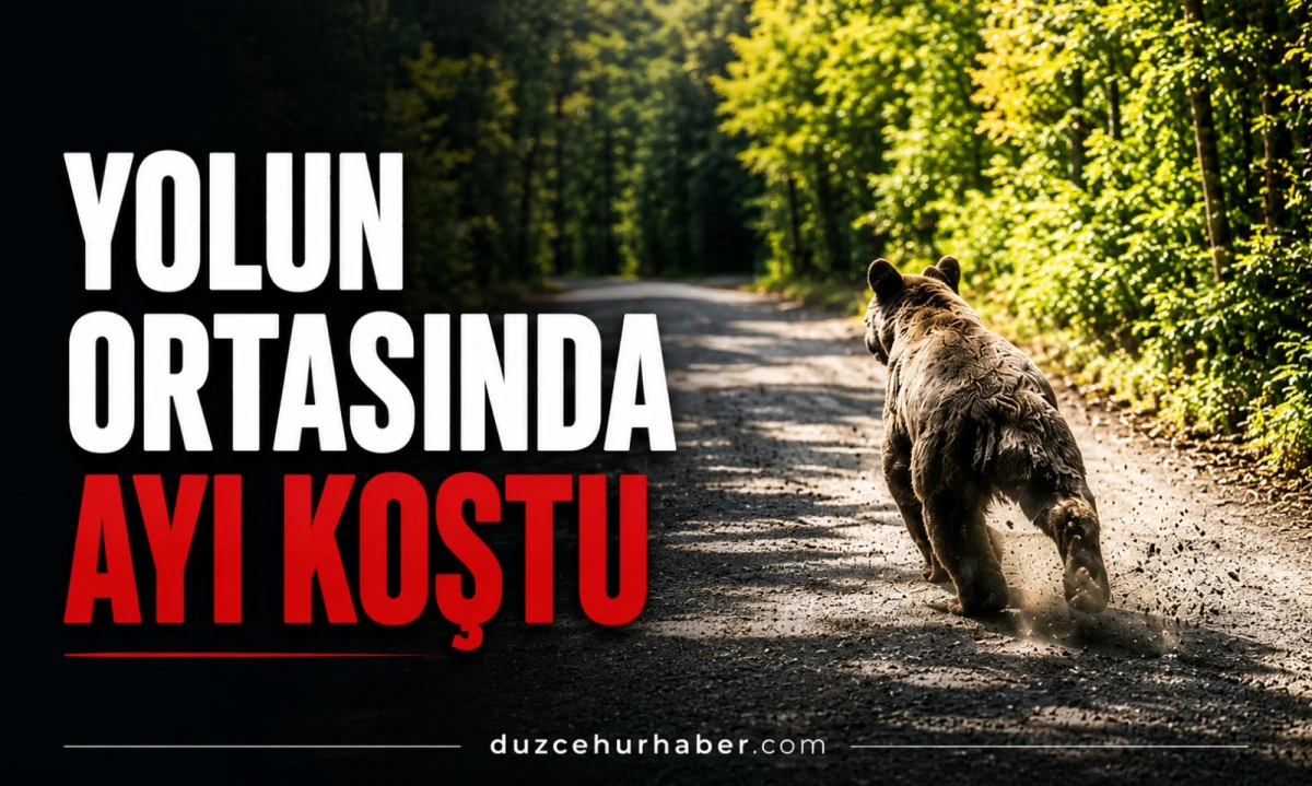 Yedig&ouml;ller Yolunda Ayı S&uuml;rprizi! O Anlar Kamerada