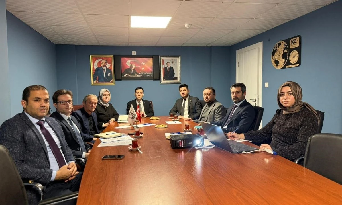 Yığılca Arısı G&uuml;ndem: Islah Projeleri