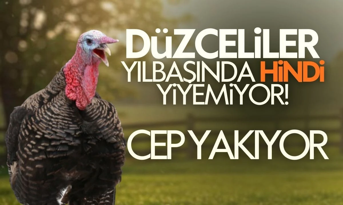 Yılbaşı Hindiler Cep Yakacak: Büyük Artış