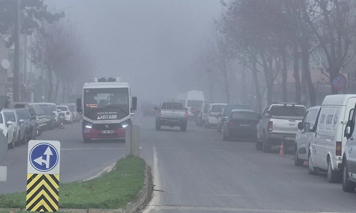 Yoğun Sis Düzce'yi Sardı Sabah Saatleri