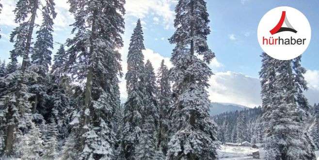 Y&uuml;ksek kesimlerde kar yağışı etkili oldu