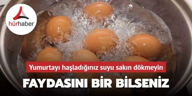 Yumurtayı haşladığınız suyu sakın dökmeyin! Faydasını bir bilseniz