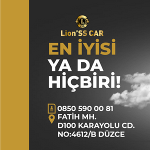 Lion'SS CAR Reklam