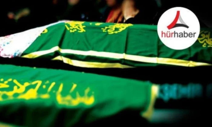 FADİME DERVİŞOĞLU 