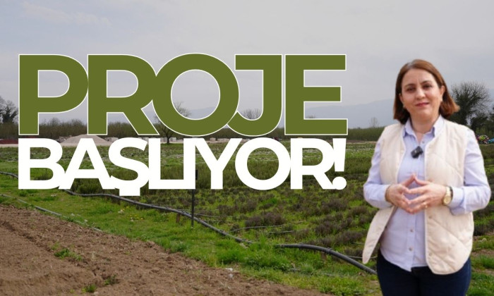 Yeşil alanları süsleyecek! 