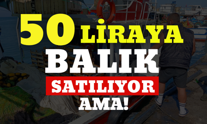 Batı Karadeniz'de avlanan 50 tekneden 10'u balıkla dönüyor