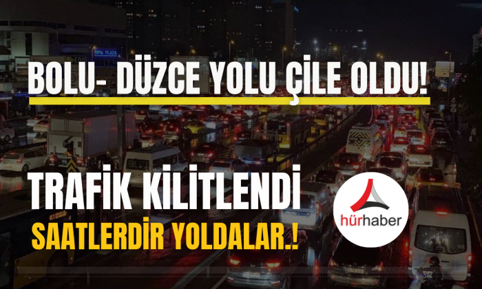 Bolu yolu trafik kilitlendi! Saatlerdir yoldalar!