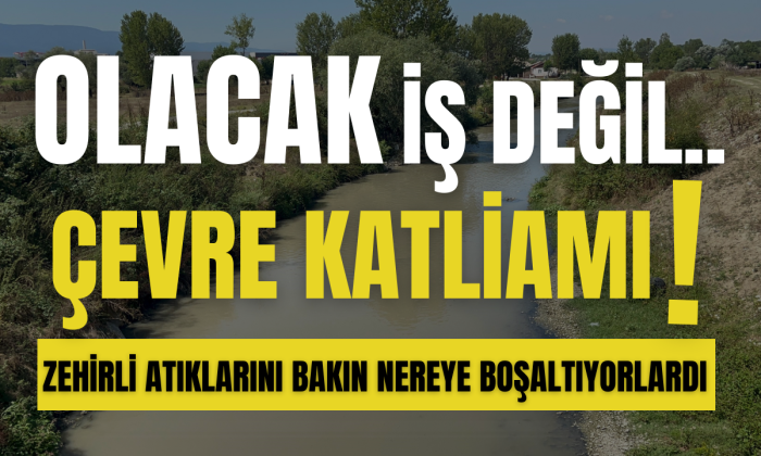 Kesimhanelerinin pisliğini dereye akıtan Beypiliç ve Erpiliç'e ceza