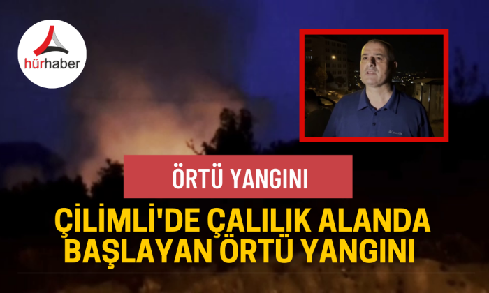 Düzce’de örtü yangını büyümeden söndürüldü