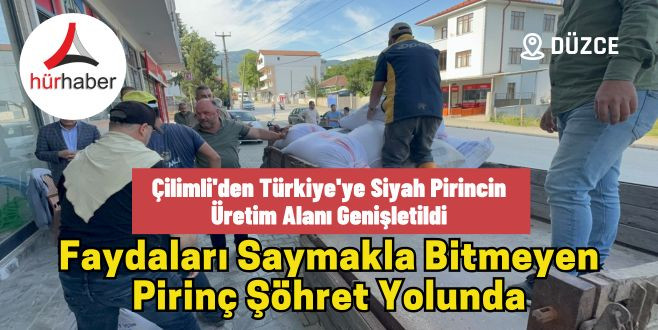 Çilimli'den Türkiye'ye: Siyah pirincin üretim alanı genişletildi