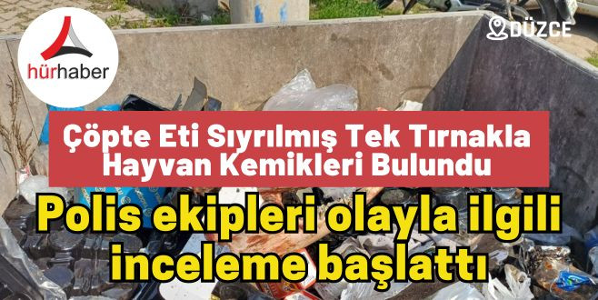 Çöpte eti sıyrılmış at eti bulundu Düzce Haber