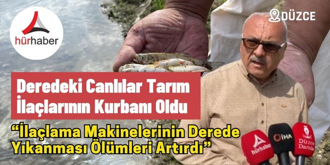 Deredeki canlılar Tarım ilaçlarının kurbanı oldu