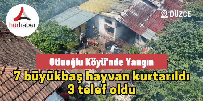 7 büyükbaş hayvan kurtarıldı 3 telef oldu