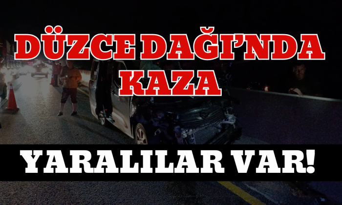 Düzce DağI kaza yaralılar var!