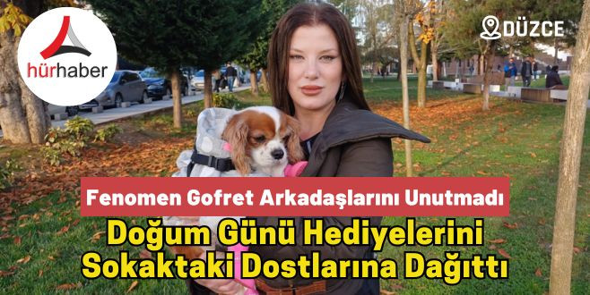 Doğum günü köpeği gofret hediye mamalar ile sokak hayvanlarını besledi