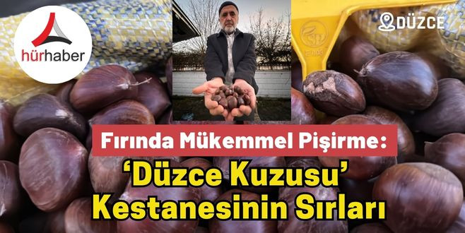 ‘Düzce Kuzusu’  Kestanesinin Sırları