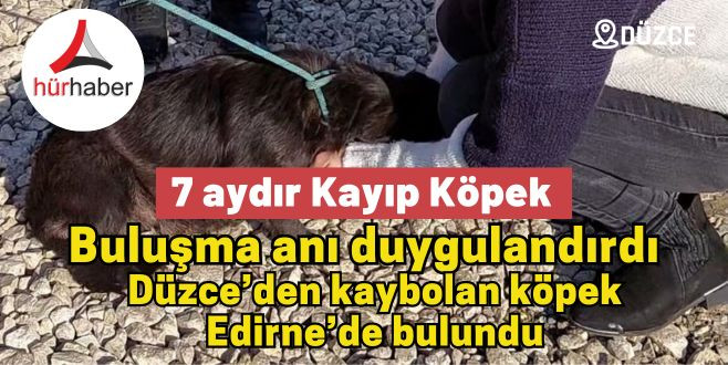 Düzce’den kaybolan köpek Edirne’de bulundu buluşma anı duygulandırdı