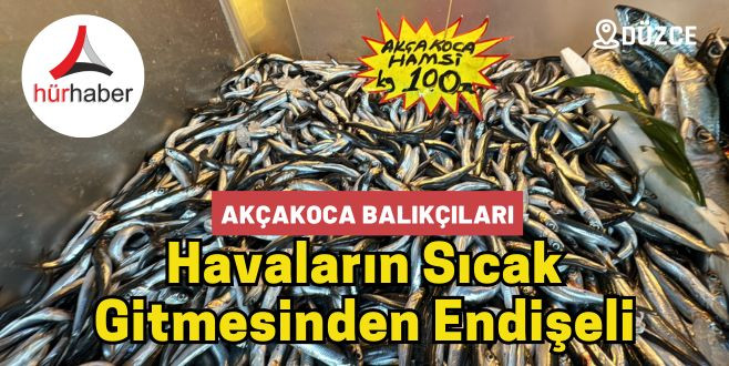 Akçakoca Balıkçıları Havaların Sıcak Gitmesinden Endişeli