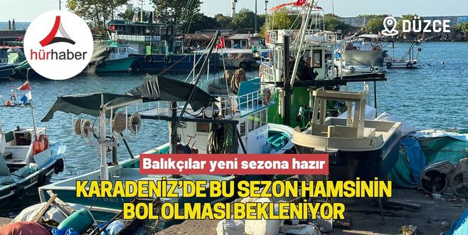 Karadeniz’de bu sezon hamsinin bol olması bekleniyor