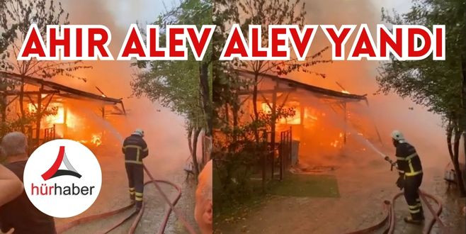 Düzköy köyünde Ahır alev alev yandı