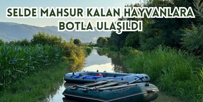 Selde Mahsur Kalan Hayvanlara Botla Ulaşıldı