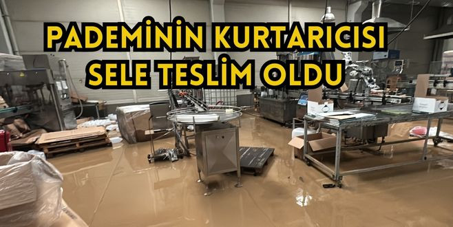 Pandemide Kurtaran Fabrika Sele Teslim Oldu