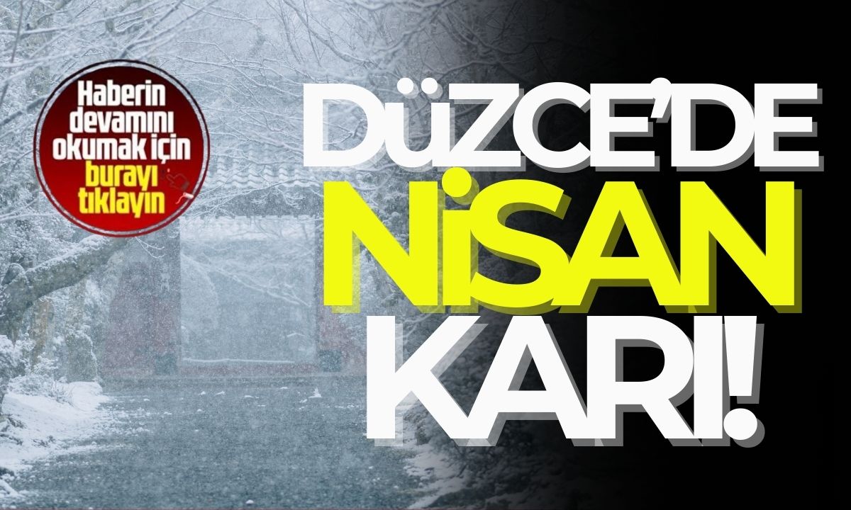 Düzce'de nisan karı Eriğin üzerine kar yağdı..