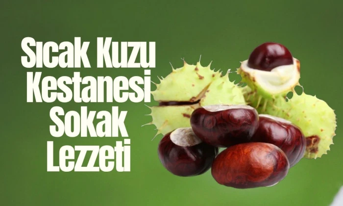 Düzce'nin coğrafi işaretli 