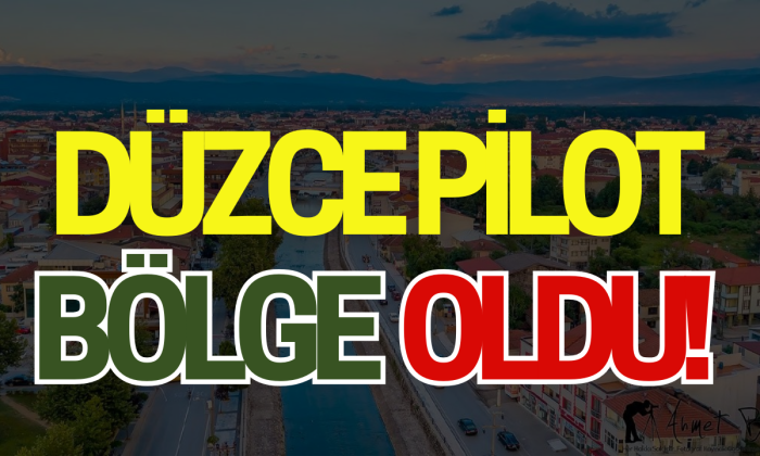 Düzce artık PİLOT bölge oldu!