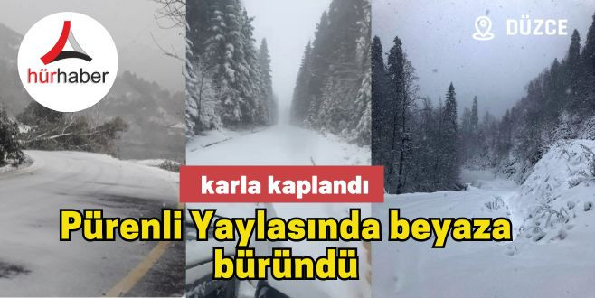 Düzce Pürenli Yaylasında beyaza büründü